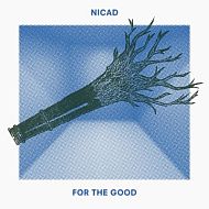 NiCad - For the good